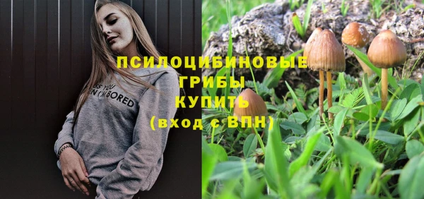 прущая мука Снежинск
