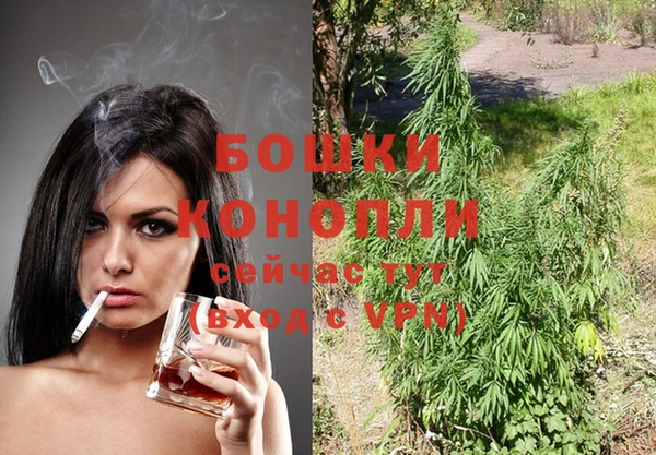 гашик Баксан