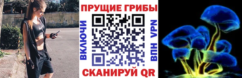 Галлюциногенные грибы мухоморы  Унеча 