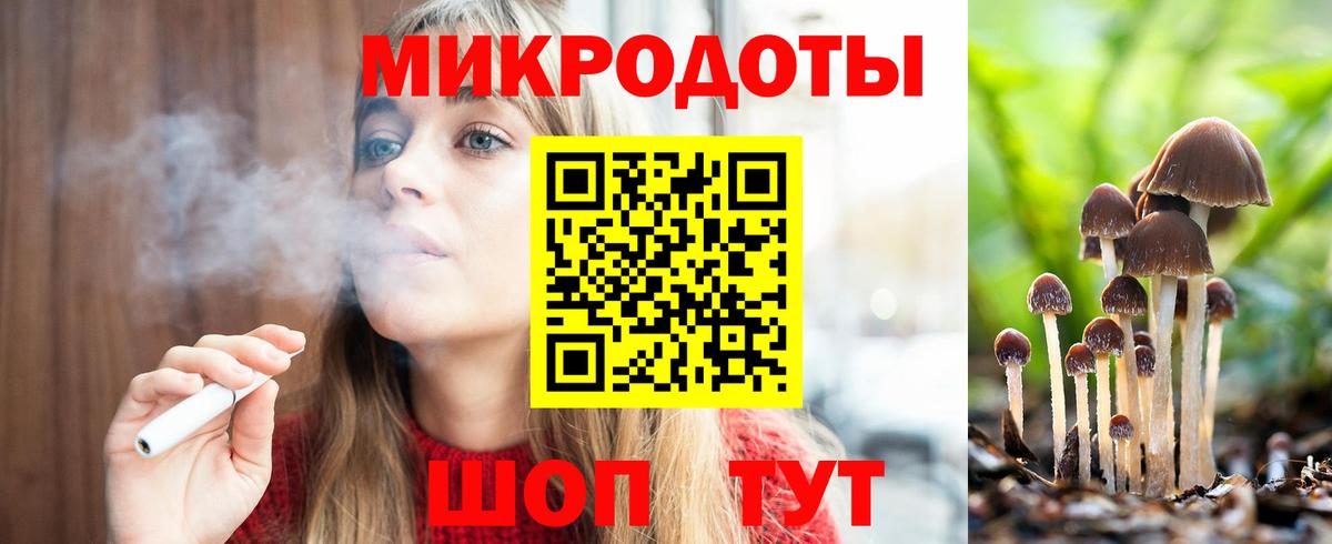 Галлюциногенные грибы Psilocybine cubensis Унеча